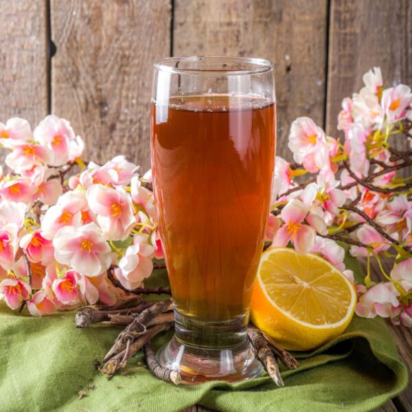 Nannari Sarbath – The Ultimate Summer Cooler